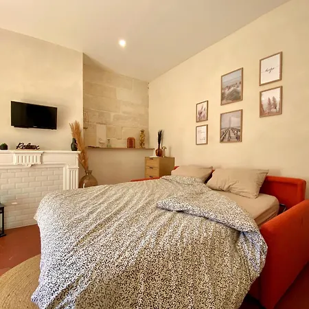 Apartment En Plein Coeur Du Centre Historique Aigues-Mortes