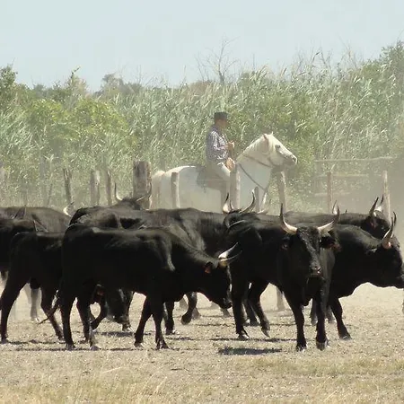 En Plein Coeur Du Centre Historique