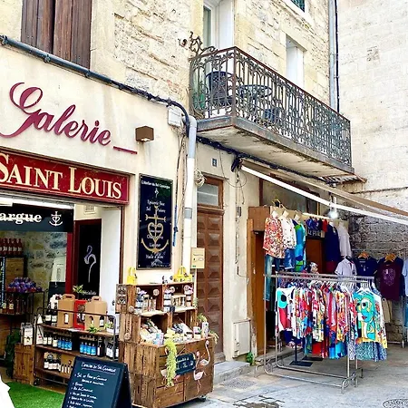 En Plein Coeur Du Centre Historique *