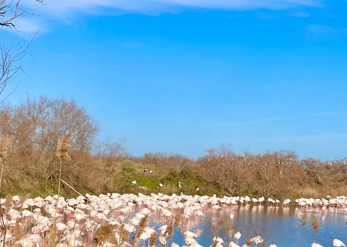 Apartamento En Plein Coeur Du Centre Historique